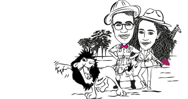 areoplano