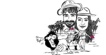 areoplano